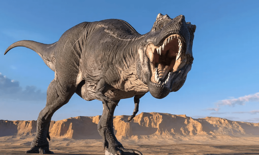 tyrannosaurus rex - characteristics and habitat